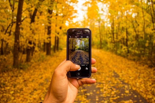 iPhoto Autumn Leaves Photo